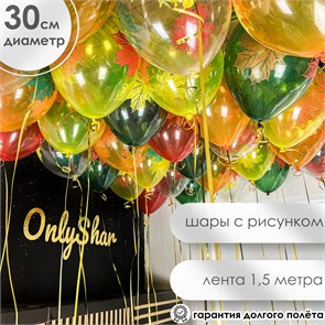 {{productViewItem.photos[photoViewList.activeNavIndex].Alt || productViewItem.photos[photoViewList.activeNavIndex].Description || 'Шары под потолок 41'}}